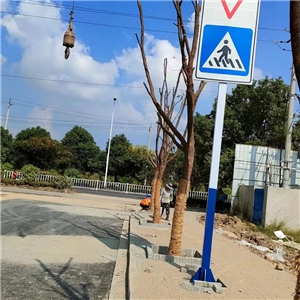 蕪湖長(zhǎng)江大橋規(guī)劃支二路道路交通設(shè)施工程 