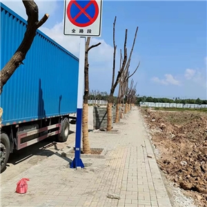 蕪湖長(zhǎng)江大橋規(guī)劃支二路道路交通設(shè)施工程 