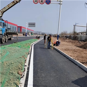 蕪湖市孫灘東路建設(shè)工程交通設(shè)施工程 