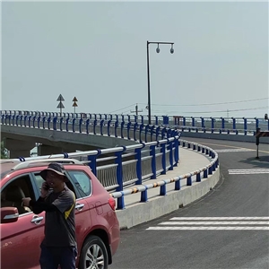 安徽裕溪船閘跨閘公路橋視頻監(jiān)控 