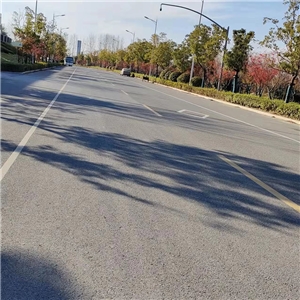 蕪湖萬(wàn)科江東府代建道路標(biāo)識(shí)標(biāo)牌工程 