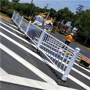 蕪湖縣陽(yáng)光大道、工業(yè)大道交通設(shè)施 