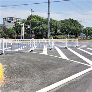 蕪湖縣陽(yáng)光大道、工業(yè)大道交通設(shè)施 