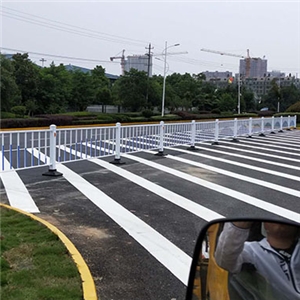 蕪湖縣陽(yáng)光大道、工業(yè)大道交通設(shè)施 