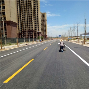 荊山安置區(qū)外環(huán)道路交通設(shè)施工程 